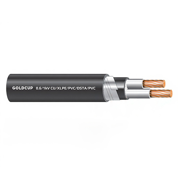 Cáp ngầm 2 lõi 0.6/1kV - Cu/XLPE/PVC/DSTA/PVC